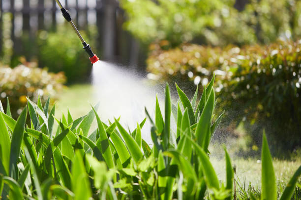 24/7 Emergency Cockroach Control experts in Monahans, TX