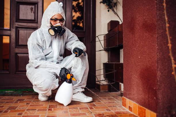 Reliable Cockroach Control contractor in Monahans, TX by Nex Pest Control