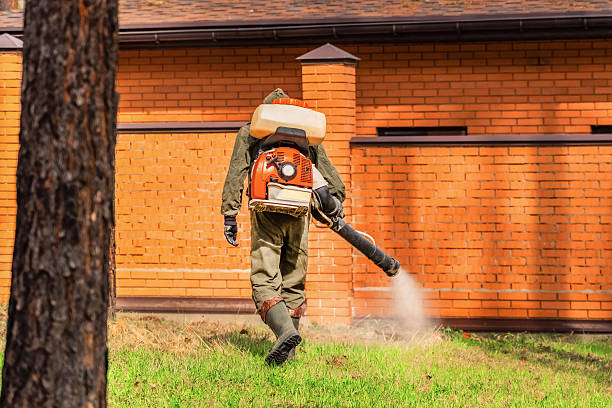Trusted Ant Control service in Monahans, TX - Nex Pest Control